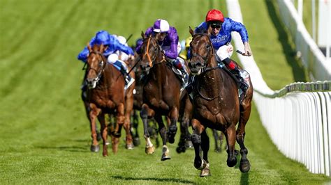 king george tips|King George tips: Timeform's expert verdict .